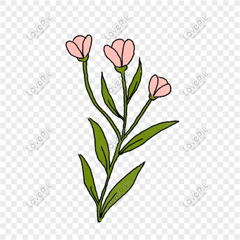 bulaklak drawing|Bulaklak Flower .